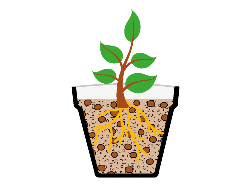 campo-impiego-aerazione-agrileca-P43-11