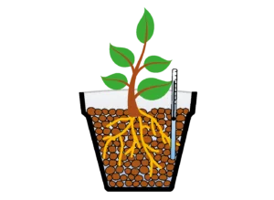 campo-impiego-idrocoltura-agrilaterlite-P44-3