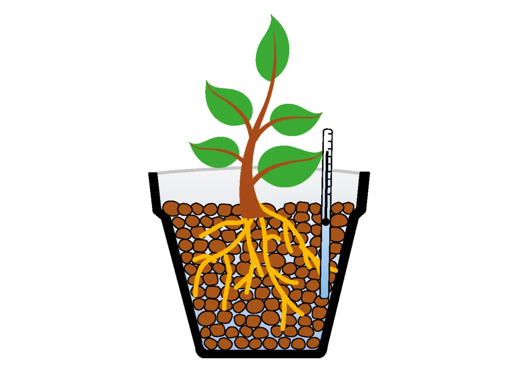 campo-impiego-idrocoltura-agrileca-P43-13