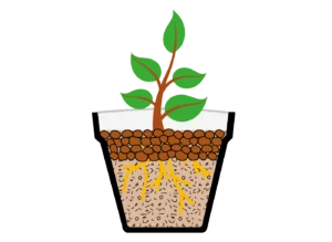 campo-impiego-pacciamatura-agrilaterlite-P44-4