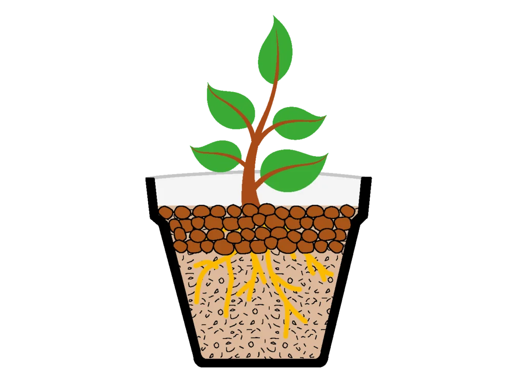 campo-impiego-pacciamatura-agrileca-P43-12