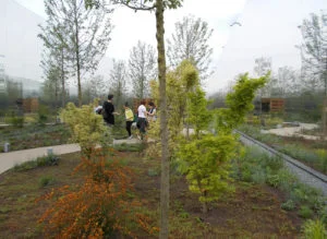 expo-2015-padiglione-polonia-verde-leca-