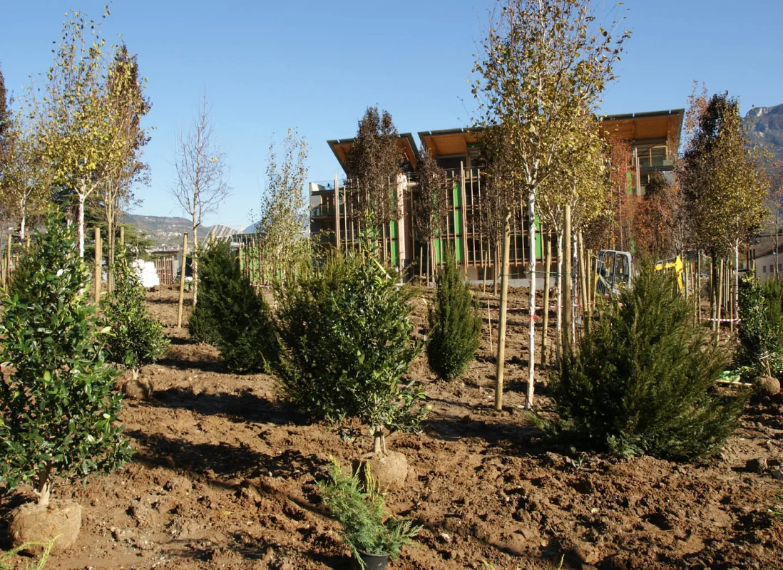 Riqualificazione Area Ex Michelin – Trento