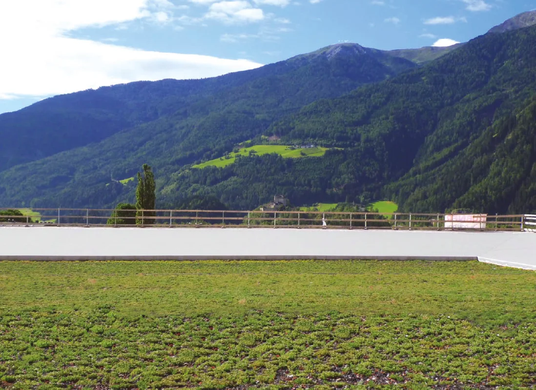 argilla-espansa-giardini-pensili-agrileca-P43-6