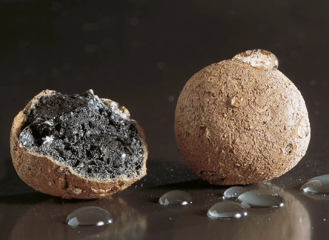 argilla-espansa-lecapiù-pallineP2-8