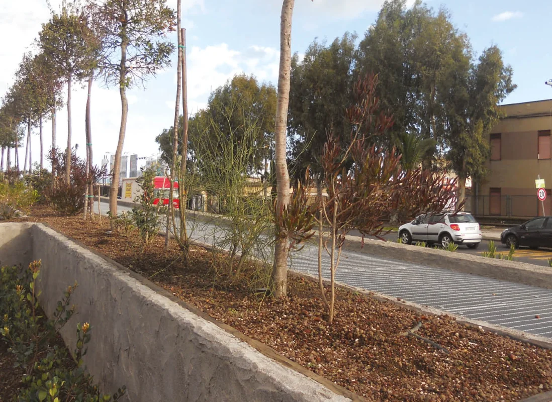 argilla-espansa-piante-in-vaso-agrileca-P43-4