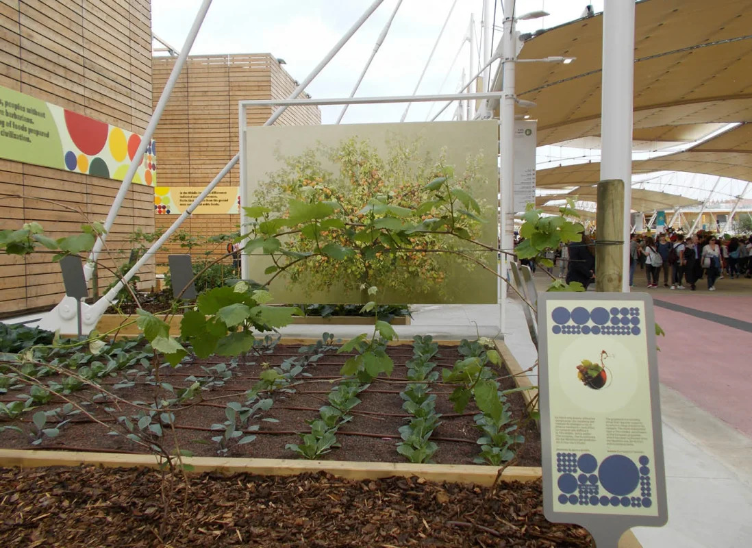 expo-2015-cluster-spezie-verde-leca-