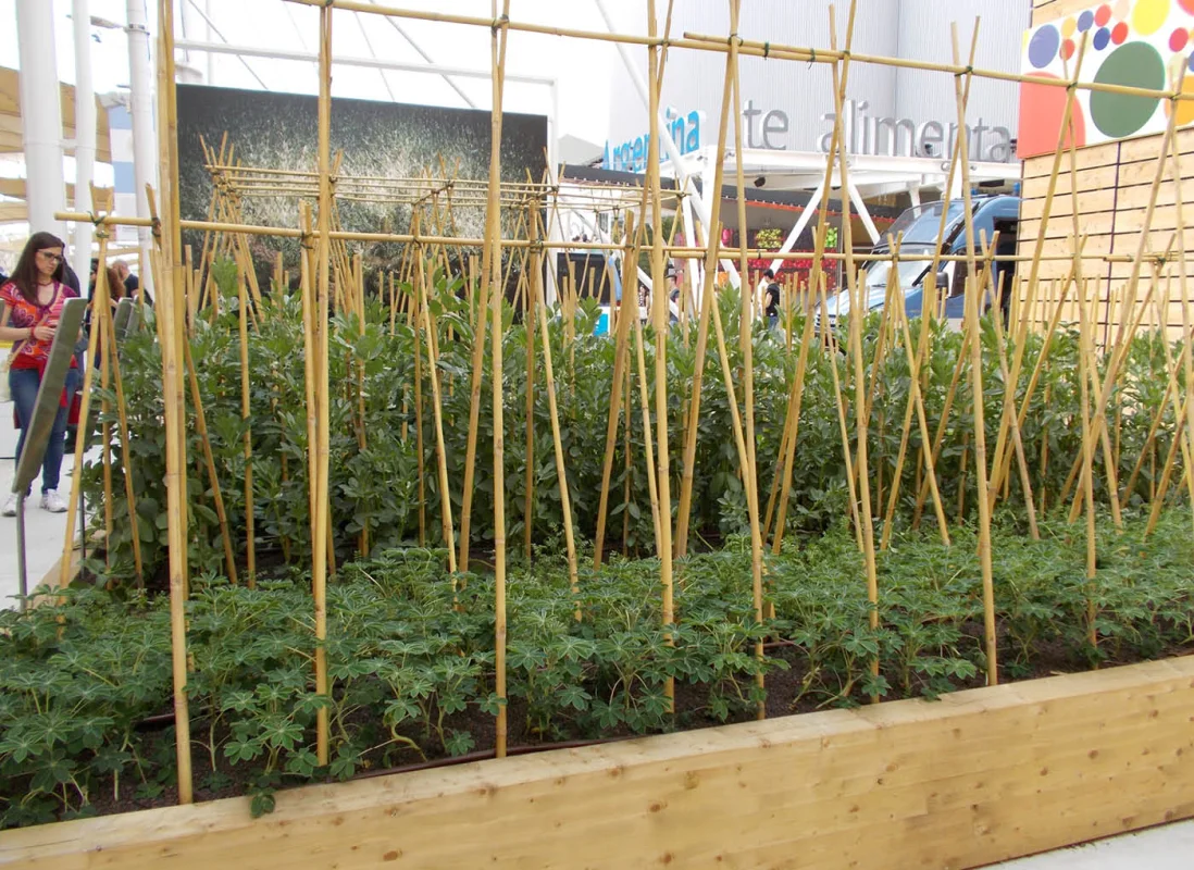 expo-2015-cluster-spezie-verde-leca-