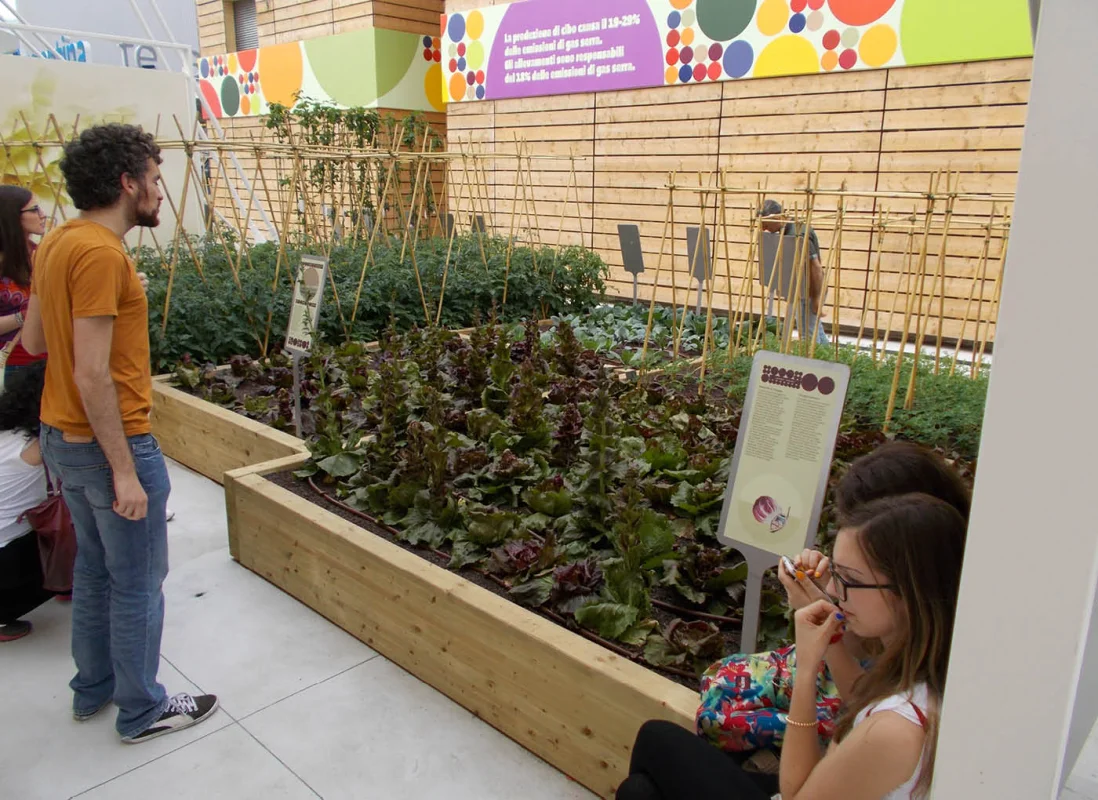 expo-2015-cluster-spezie-verde-leca-
