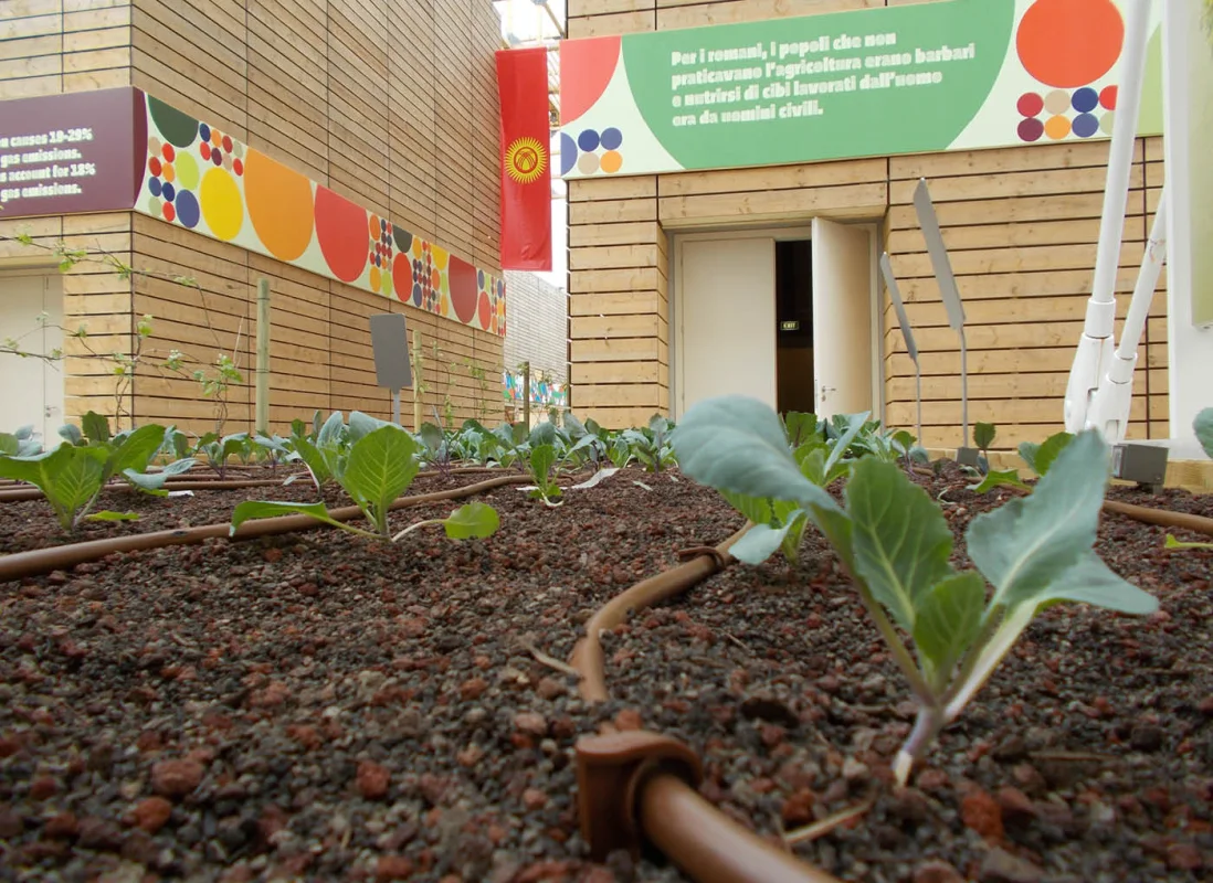 expo-2015-cluster-spezie-verde-leca-