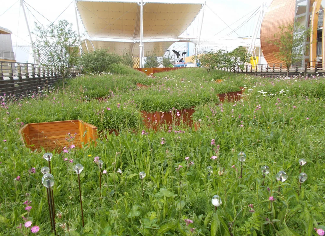 expo-2015-padiglione-uk-verde-leca-