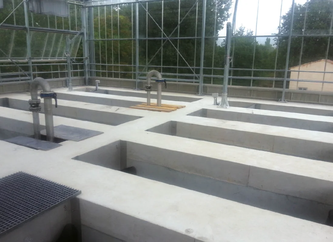 fitodepurazione-AV8-4