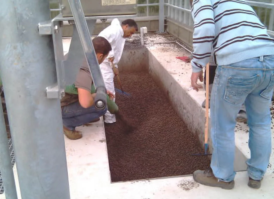 fitodepurazione-AV8-5