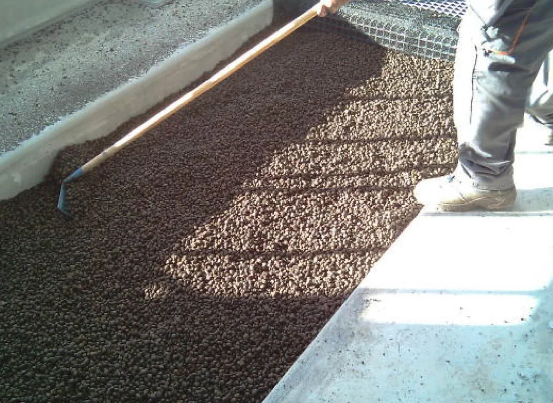 fitodepurazione-AV8-6