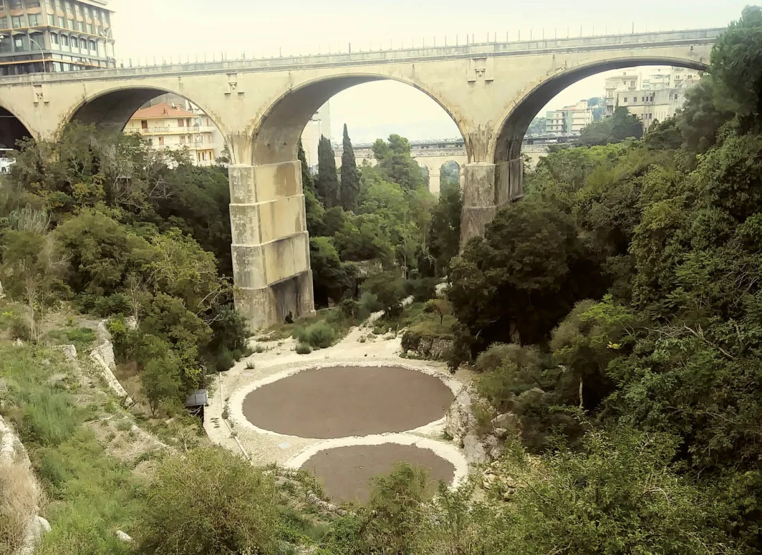 fitodepurazione-AV8-7