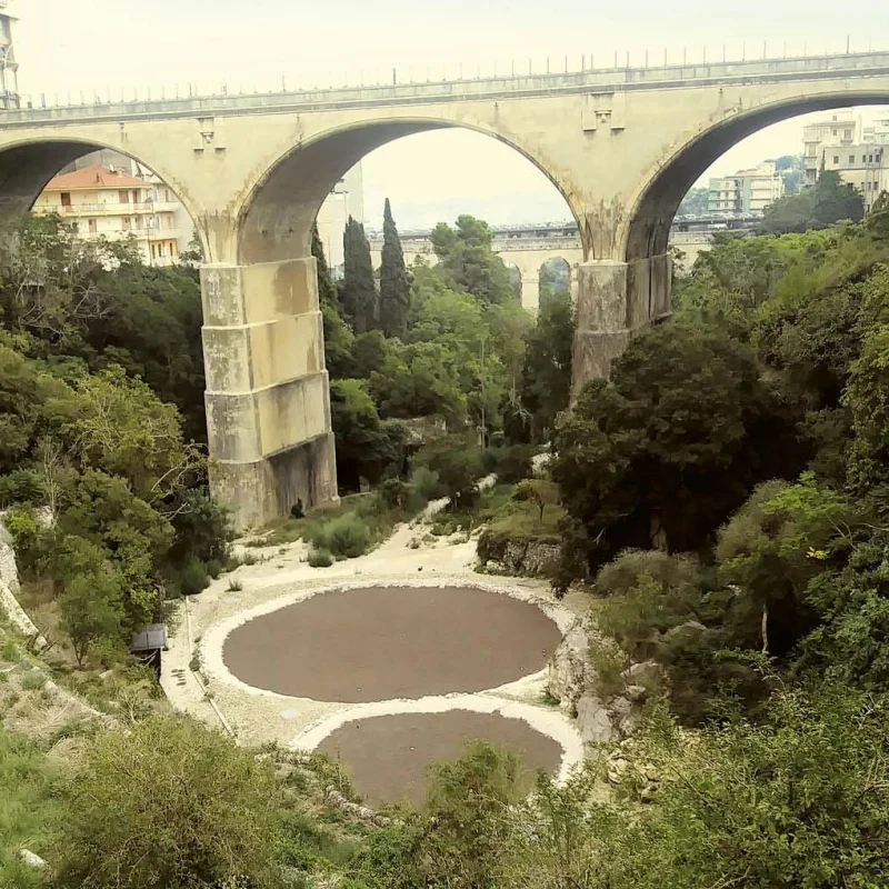 Fitodepurazione e trattamento delle acque reflue