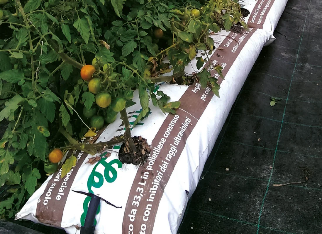 idroleca-coltivazioni-fuori-suolo-P46-2