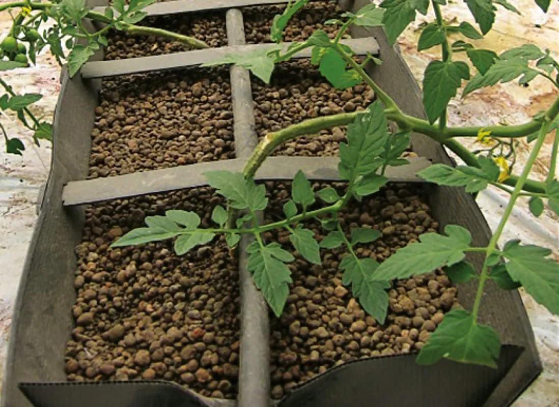 idroleca-coltivazioni-fuori-suolo-P46-8