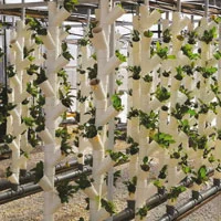 IdroLeca: Argilla espansa per coltura idroponica