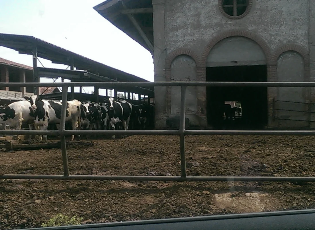 Leca<sup>®</sup> LCM: Azienda Agricola Venier S.S.- Barbata (BG)